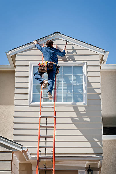 Best Insulated Siding Installation  in Fullerton, NE